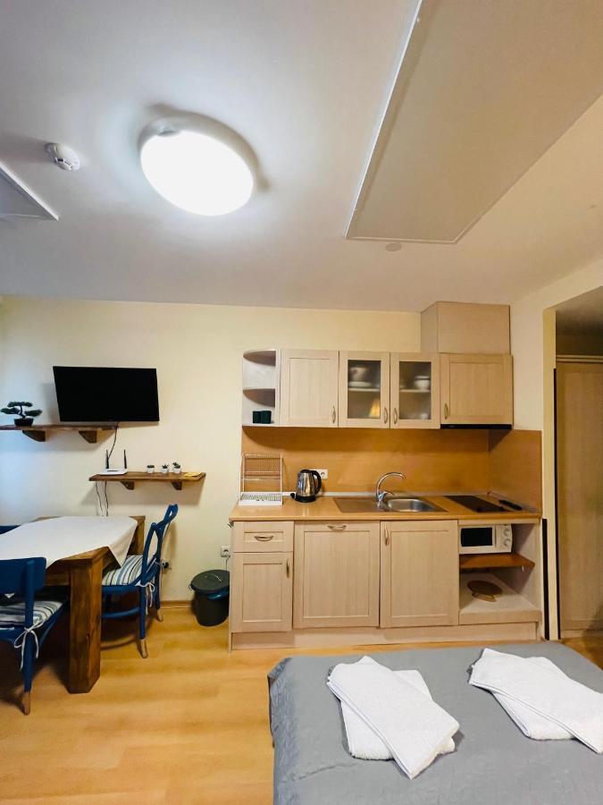 بوروفتس Studio Kris Villa Park المظهر الخارجي الصورة