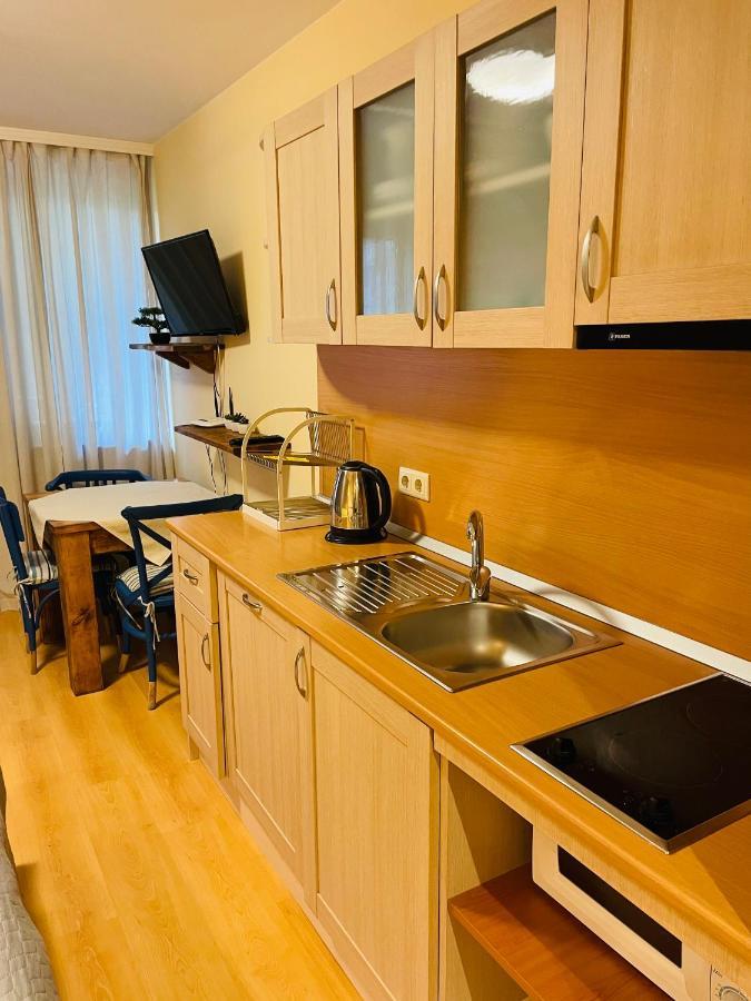 بوروفتس Studio Kris Villa Park المظهر الخارجي الصورة