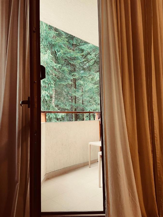 بوروفتس Studio Kris Villa Park المظهر الخارجي الصورة